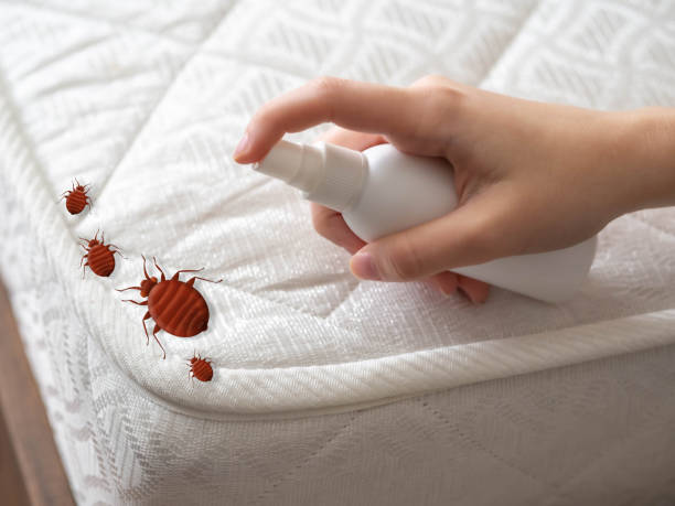 Trusted Columbia, PA Pest Control Experts