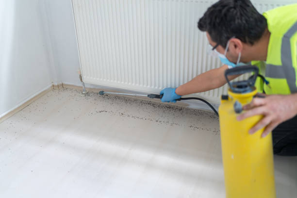 Best Pest Control Near Me in Columbia, PA